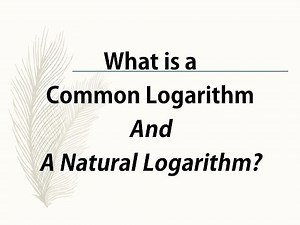 What is a Common Logarithm and a Natural Logarithm?