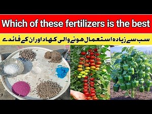 The Ultimate Guide to Fertilizers (How to Choose the Right One) | Best fertilizer for all plants