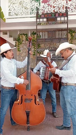 Flor del rio #musicacampirana