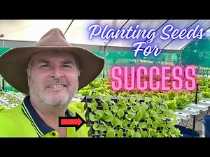 Planting Seeds For Success #hydroponics #garden