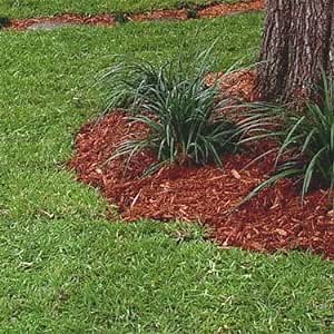 Outsidepride Centipede Grass Seed - 1 Lb Slow Growing, Shade & Drought Tolerant, Coarse Leaved Warm Season General Purpose Turf Grass Seed, Ideal Versatile & Low Maintenance Lawn Solution