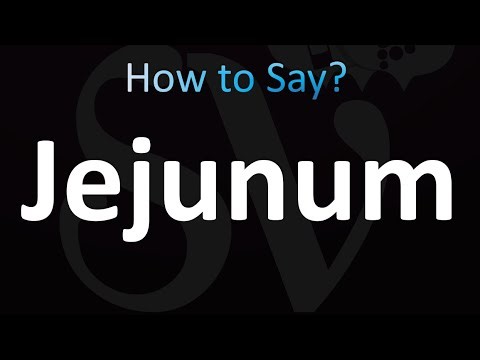 How to Pronounce Jejunum (Correctly!)