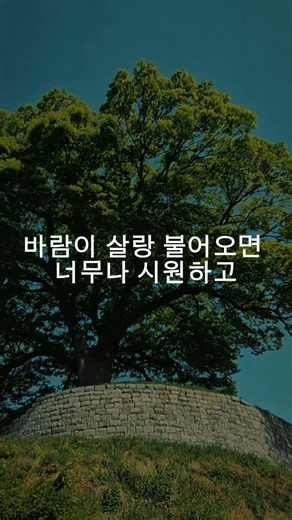 [부여와랑 서포터즈] KR탐색 건너뛰기검색만들기아바타 이미지부여 성흥산성 사랑나무 포토존