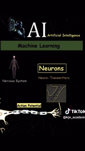 Understanding Neural Networks: A Comprehensive Guide