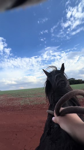 Ele disparou cmg#adrenalina #horse #cavalo #galope #galop #fy