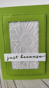 2.3K views · 1.6K reactions | From plain to spectacular! Emboss your vellum! #stampinupcanada #thepamperedstamper #tipsandtricks #stampinupdemonstrator #kaartjesmaken #embossing #vellumcards | The Pampered Stamper | Facebook