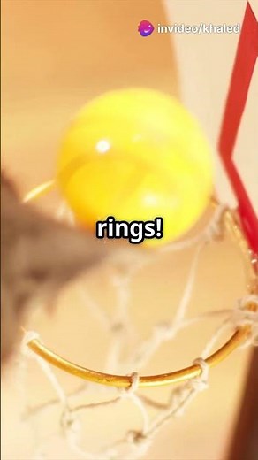 DIY Cat Agility Course for Indoor Play