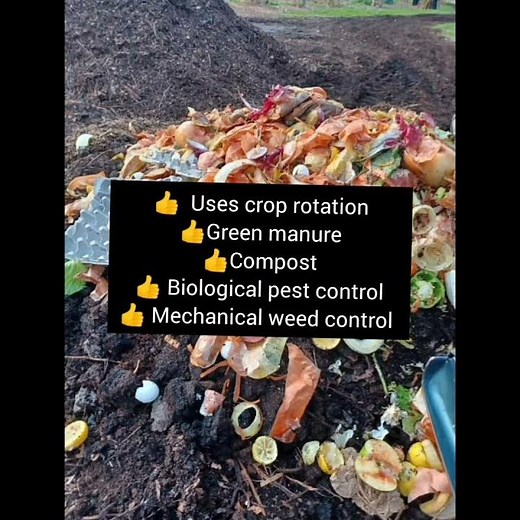 Let's learn Agricultural sciences grade 10|organic Farming