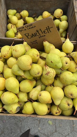 43K views · 55 reactions | Fall dinner party menu, where everything can be made ahead of time, we love that! Endive, pear, roquefort salad Beef short ribs with potato and celery root purée Apple Tart with creme fraiche All recipes today from @inagarten  #handmethefork | Handmethefork | Facebook