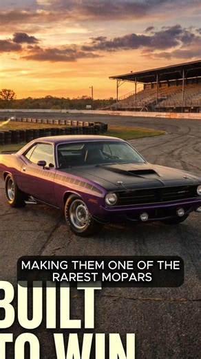 The AAR 'Cuda: Built To Win