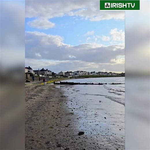 4.4K views · 69 reactions | Tranquil scenes along Ballyholme Beach  | Irish TV | Facebook