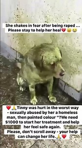 🚨 TINNY WAS HURT IN THE WORST WAY POSSIBLE. #usa #canada #uk #germany