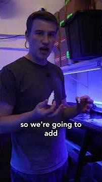 Do you have any flatworms?