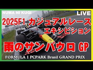 【PC＆CSゲーム】F1 24　F1　雨のサンパウロGPカジュアルレース番外編　Rd8【LIVE】＃09 P2