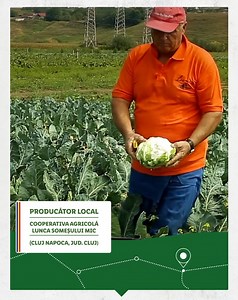 În Piața Lidl, redescoperim în fiecare zi ce înseamnă prospețimea, de la cules, la recoltat și livrat. 🌱 Furnizorii noștri locali, precum este și Cooperativa Agricolă Lunca Someșului Mic din Cluj Napoca, jud. Cluj, îngrijesc legumele și fructele tale preferate la cele mai înalte standarde. #TreciPeProaspat, intra pe https://surprize.lidl.ro/scan și scanează etichetele de pe lădițele de fructe și legume din magazine, pentru a descoperi originea prospețimii. | Lidl Romania