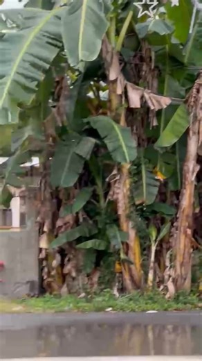 🫦🫦 #fypシ゚ #Raider150Fi #ccto #ThaiConcept #RaiderNation #trendingreelsvideo #followersシ゚ #highlightseveryonefollowers2025highlightseveryonefollowers2025 | Mart Davis Gomez