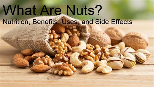 What Are Nuts? Nutrition, Benefits, Uses, and Side Effects