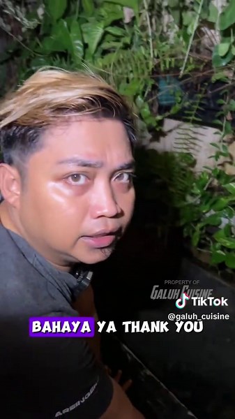 Keselamatan Anak dengan Kura Kura Sulcata