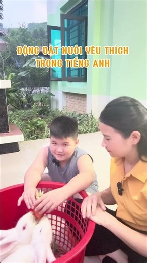 Bé học Tiếng Anh động vật nuôi yêu thích #tienganhchotre #tienganhchotre