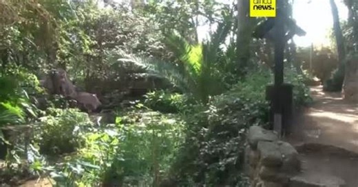 With 500 species, Moroccan exotic garden an oasis of biodiversity | Africanews