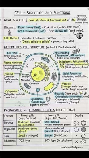 Cell Structure and function/ Key points/ Biology/bsc/Notes