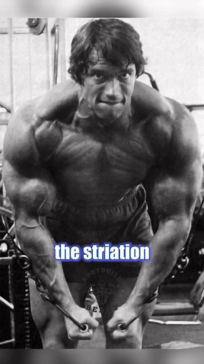 BodyBuildBeast TikTok'ta