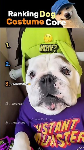 Ranking The Funniest Dog Costumes Core 🎃#usa