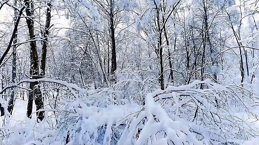 高清绝美雪景，绝美冰雪风景，冰天雪地，高清风景素材