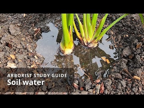 Soil water | Soil Science