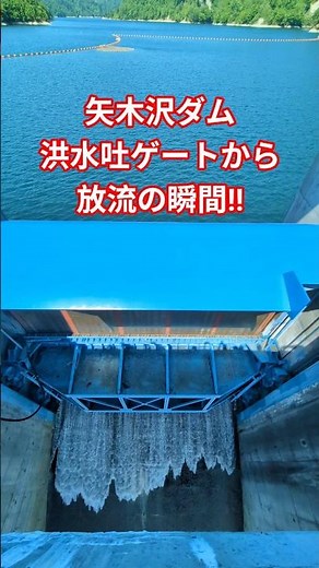 矢木沢ダム 洪水吐ゲートから放流の瞬間!! #shorts #ダム #ダム放流 #放流 #点検放流 #融雪放流 #絶景 #ダム界隈 #矢木沢ダム #群馬県 #みなかみ町