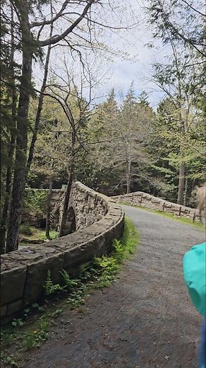 Horse Carriage Ride in Acadia National Park in Maine, USA