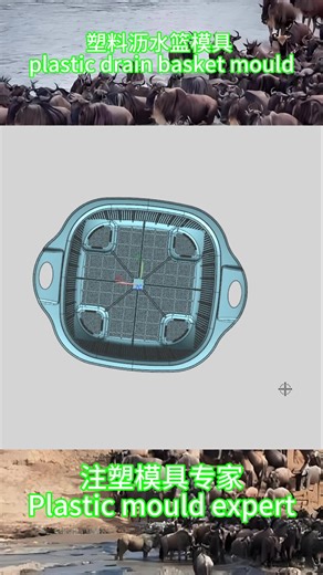 **Keep Drains Clear: Plastic Basket Molds** Prevent clogs and simplify cleaning. Our drain basket molds create sturdy, well-designed baskets for sinks and drains. Durable, easy to clean, and perfect for any kitchen. Taizhou Jusheng Mould (JACKSON MOULD) WA: 86 19857618839 Email: charleychen@mouldone.com #SinkBasketMold #DrainStrainerMold #KitchenBasketMold #PlasticStrainerMold #DrainageBasketMold