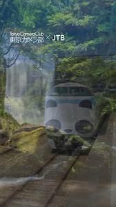 1.2K views · 15 reactions | 【お得なJR＋宿泊プラン】人気の和歌山・白浜へはJTBで！海を望む露天風呂や海の幸も堪能 | JTB | Facebook