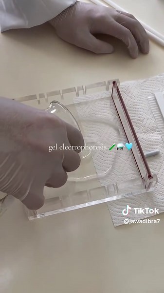 Understanding Gel Electrophoresis in Biomedical Science