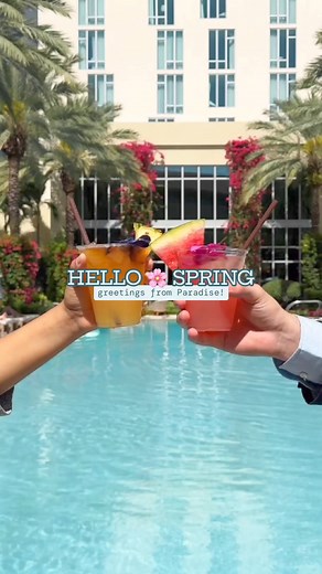Postcards from Spring in Paradise 📷🌺 Cheers to vibrant blooms, colorful drinks, and the beauty of this season unfolding around us! #travel #spring #hotels #florida | Hilton West Palm Beach