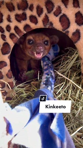 This dialogue cracks me up