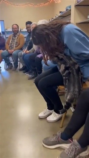 When Cats Choose Their Humans- Adoption Moments