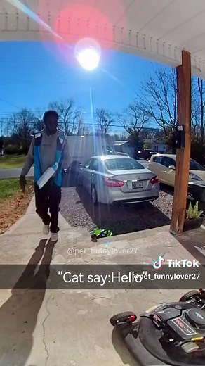 Cats Talking in English: Hilarious Moments Captured