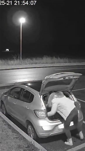 kiran wakade on Instagram: "Sudden Approach — Decision in Seconds In a clear daytime environment, a woman opens her trunk. Within seconds, a tiger rushes into view. She reacts quickly, moves inside, and shuts the trunk as the metal vibrates from contact. #fastdecision #unexpectedmoment #realtimevisual #shorts"