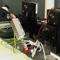 Measuring Spinal Presynaptic Inhibition in Mice By Dorsal Root Potential Recording In Vivo - JoVE