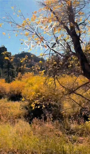16K views · 460 reactions | Nothing beats a fall cruise through Spearfish Canyon — where every turn is painted with color.  . . . #SpearfishCanyonLodge #BlackHillsAdventures #ExploreTheHills #SpearfishCanyon #MountainGetaway #NatureInTheBlackHills #SouthDakotaViews #CanyonEscape #BlackHillsRetreat #ScenicGetaway #OutdoorAdventure #RelaxInNature #HiddenGemSD | Spearfish Canyon Lodge | Facebook