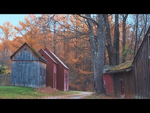 Fall Decorating In An Early American Primitive Home, Rural Living