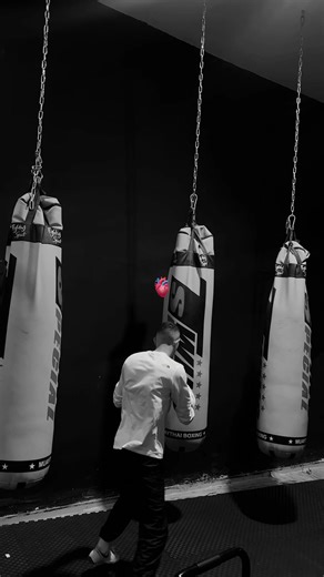 CREED TEAM: Training in Boxing, MMA, and Kickboxing