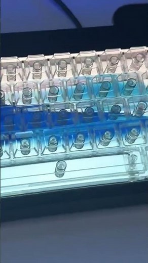 Finalmouse Centerpiece Pro