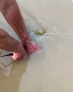 6.7M views · 7.3K reactions | This snapping turtle was completely stuck in the pond's drainage system  | LADbible | Facebook