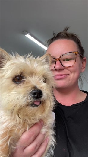 Coco's Kitchen Dog Bakery on TikTok