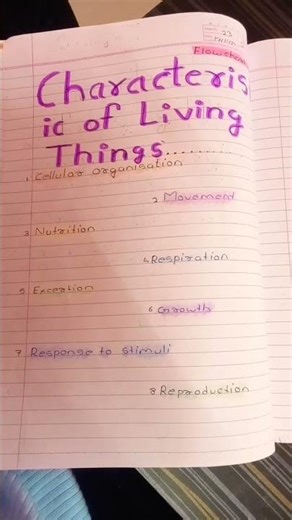 #easy idea for flowchart #science# shorts