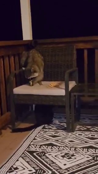 We have a face off. 🤣