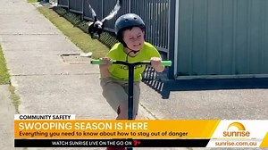 50K views · 34 reactions | ‘You need to be zen with the bird!’: Sunrise bird expert shares her tips to avoid getting swooped by magpies this spring. #magpie #swooping #magpieswoopingseason | Sunrise | Facebook