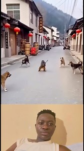 Machinery 😂😂 | Maroko Comics